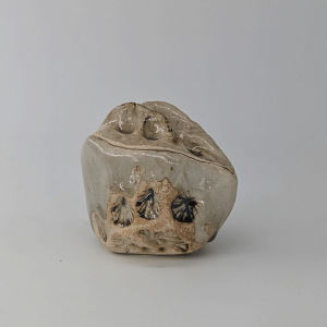 contreterre céramique contemporaine delfine morand gardiennes boîte grès